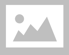 Asian consulting engineers pvt ltd